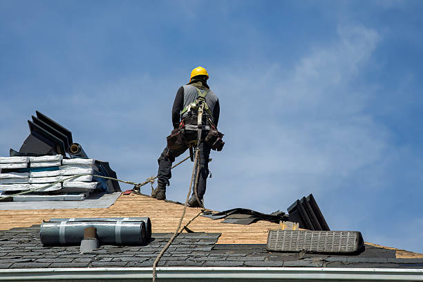 Professional Storm Damage Roof Repair technician working in Erath, LA